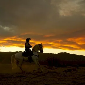 Photo du film : Lucky Luke