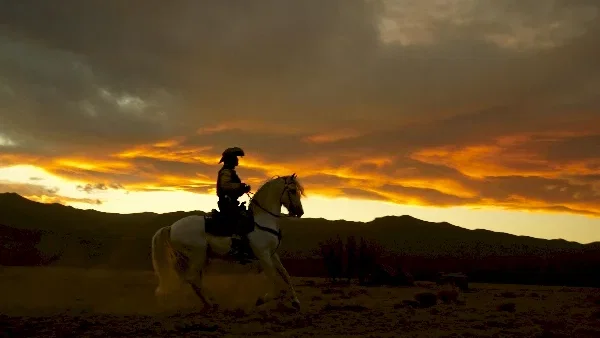 Photo 4 du film : Lucky Luke
