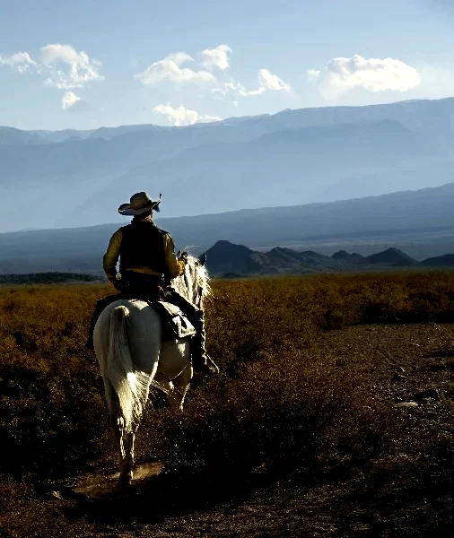 Photo 27 du film : Lucky Luke