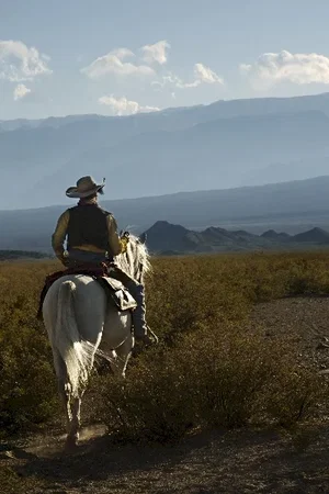Photo 27 du film : Lucky Luke
