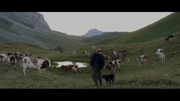 Affiche du film : Coeur animal