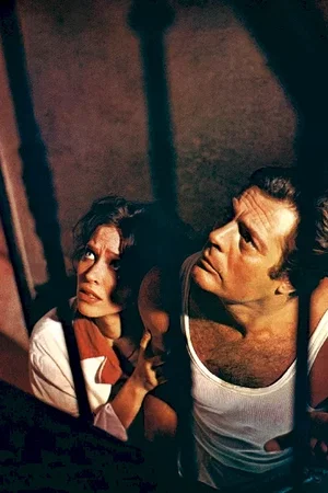 Photo du film : L'Etranger
