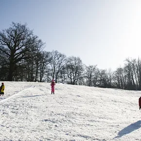 Photo du film : The Children