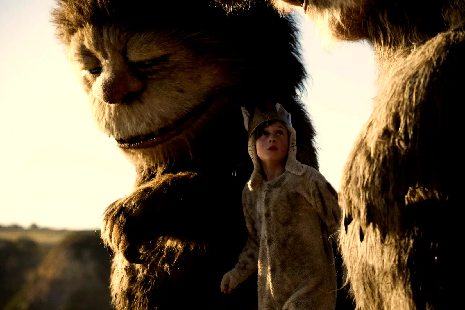 Photo 14 du film : Max et les Maximonstres