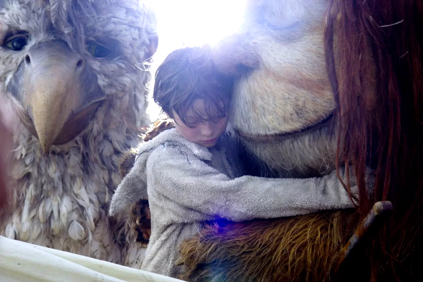 Photo 15 du film : Max et les Maximonstres