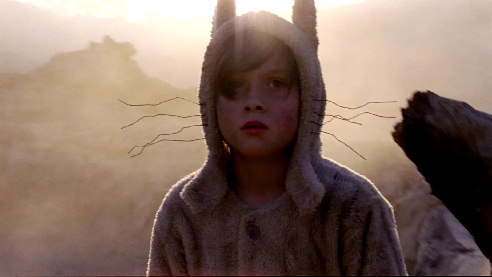 Photo 17 du film : Max et les Maximonstres