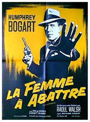 Affiche du film : La Femme à abattre