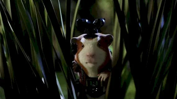 Photo 15 du film : Mission G