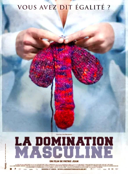 Affiche du film : La domination masculine