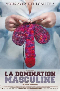 Affiche du film La domination masculine