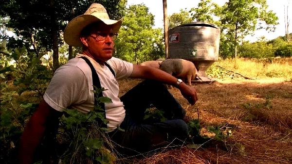 Photo 9 du film : Food, Inc.