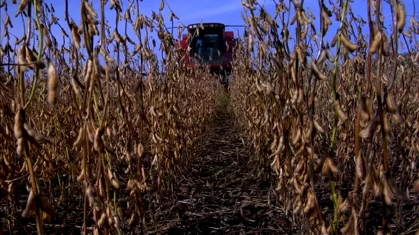 Photo 11 du film : Food, Inc.