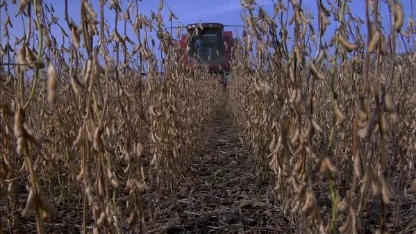 Photo 11 du film : Food, Inc.