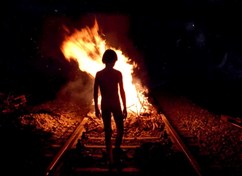 Photo 4 du film : Le temps du loup