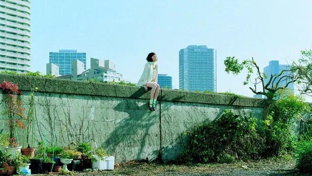 Photo du film : Air doll