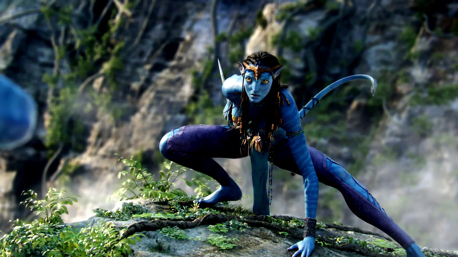 Photo 8 du film : Avatar