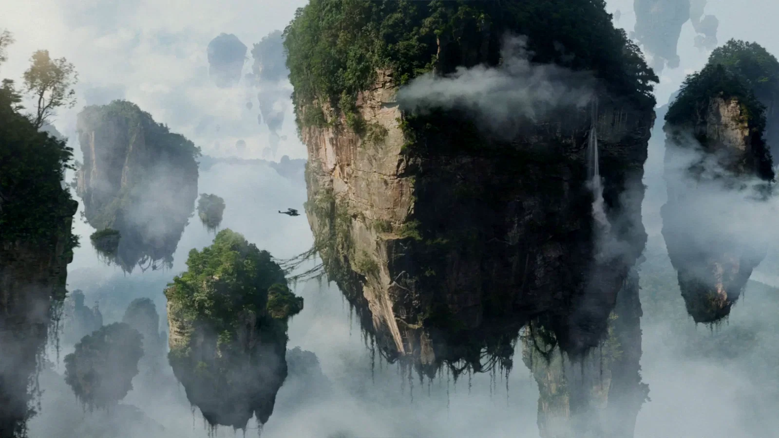 Photo 6 du film : Avatar