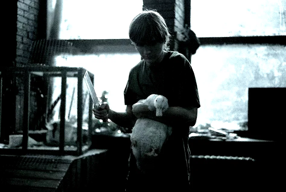 Photo 5 du film : The Good Heart