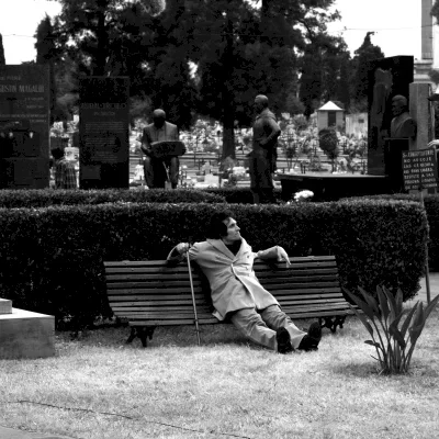 Miniature photo du film : Tetro