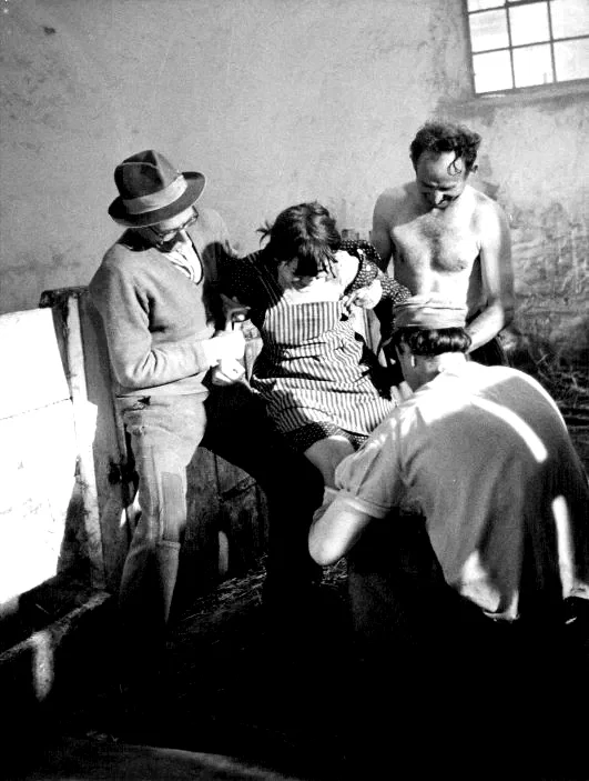 Photo 2 du film : Scènes de chasse en Bavière