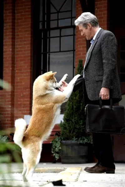 Photo 3 du film : Hatchi