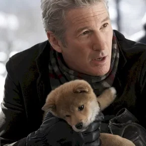 Photo du film : Hatchi