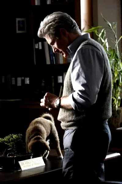 Photo 7 du film : Hatchi