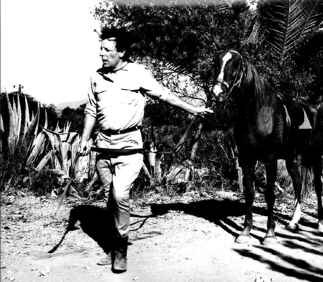 Photo du film : Les Hors-la-loi