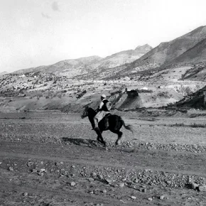 Photo du film : Les Hors-la-loi
