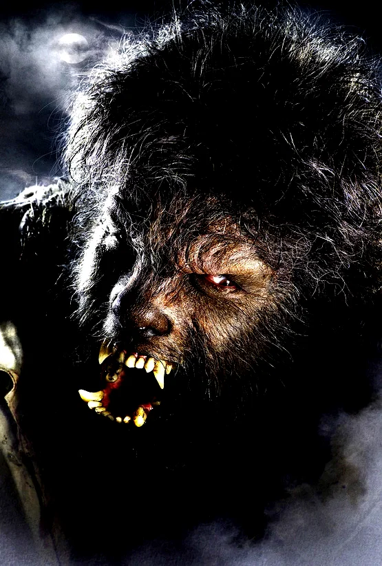 Photo 31 du film : Wolfman