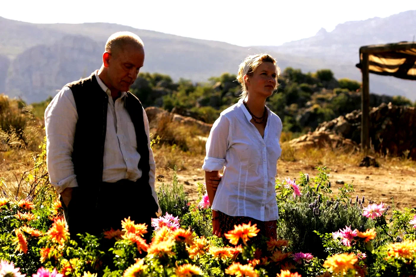 Photo du film : Disgrace 
