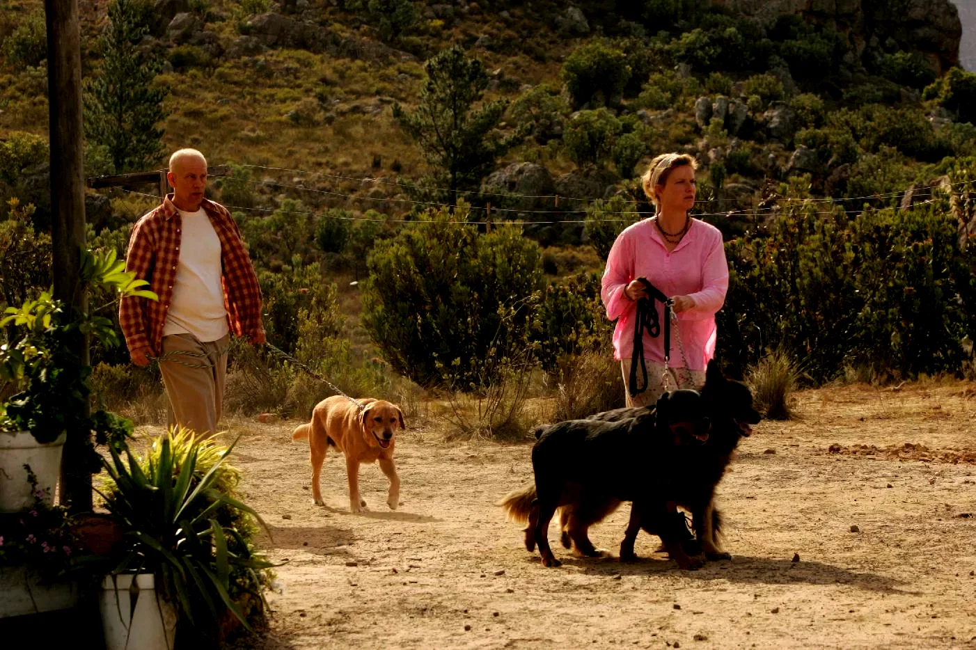 Photo du film : Disgrace 