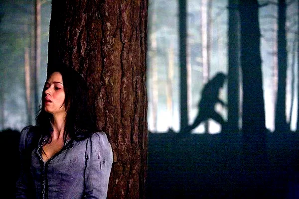 Photo 5 du film : Wolfman