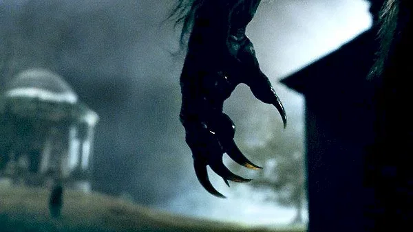 Photo 13 du film : Wolfman