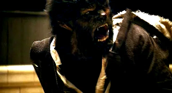 Photo 17 du film : Wolfman