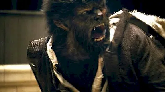Photo 17 du film : Wolfman