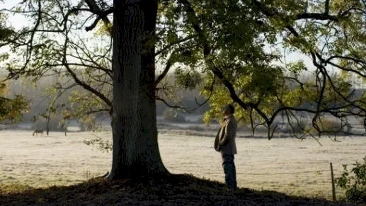 Photo du film : L'Arbre et la forêt