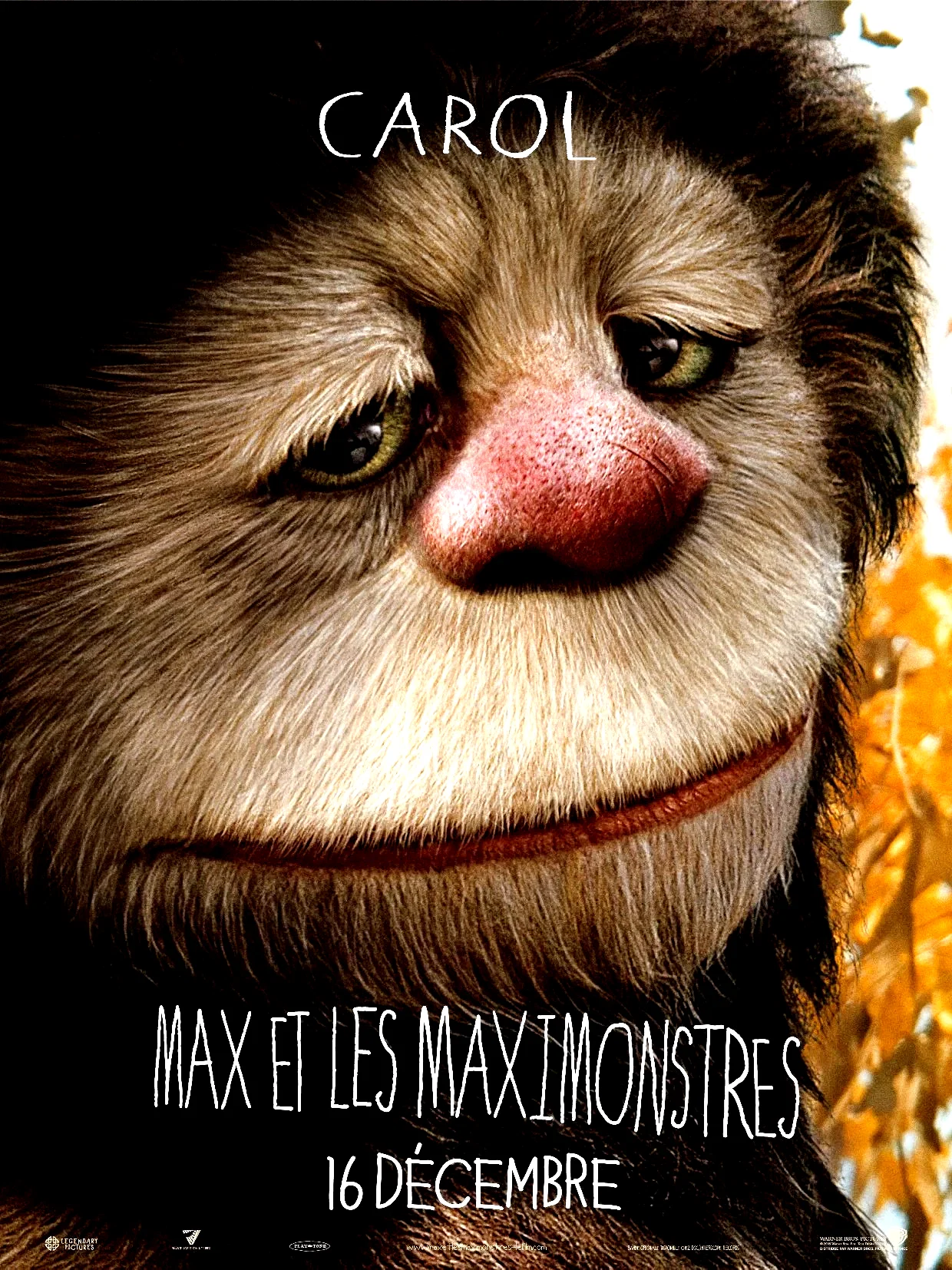 Photo 4 du film : Max et les Maximonstres