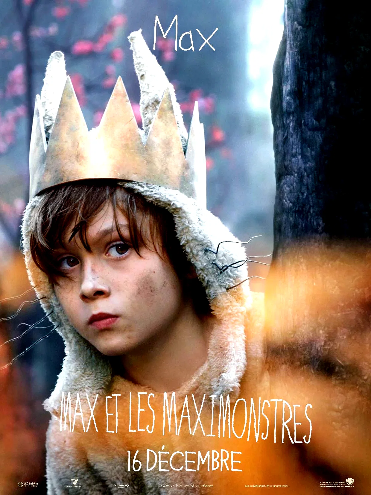 Photo 9 du film : Max et les Maximonstres