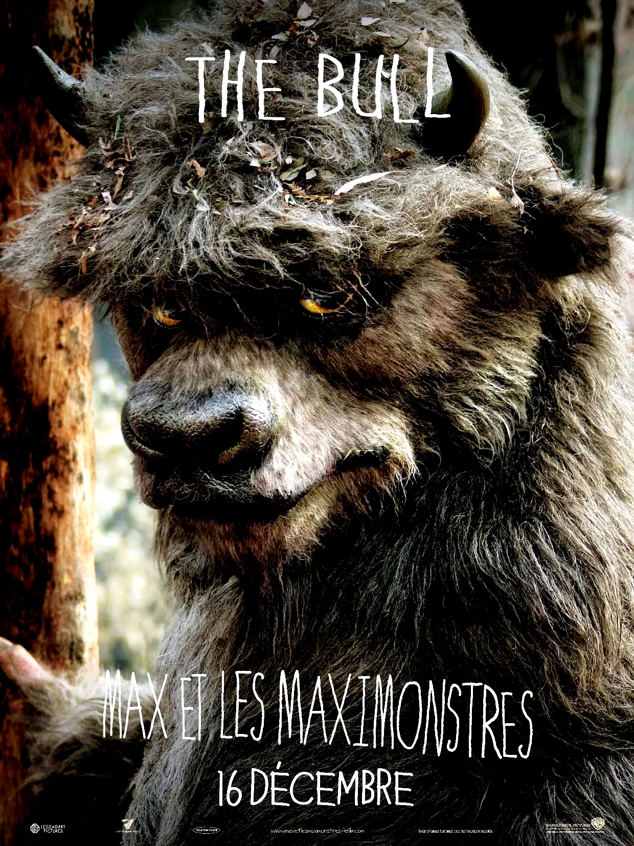 Photo 10 du film : Max et les Maximonstres