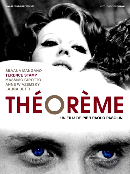 Affiche du film : Théorème