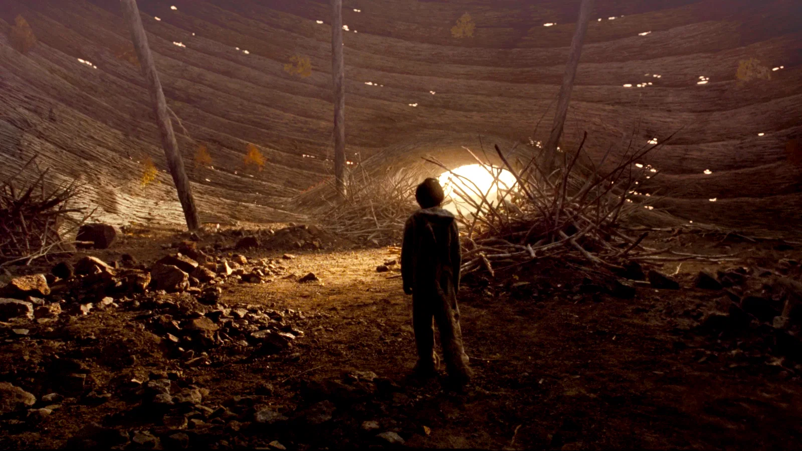 Photo 36 du film : Max et les Maximonstres