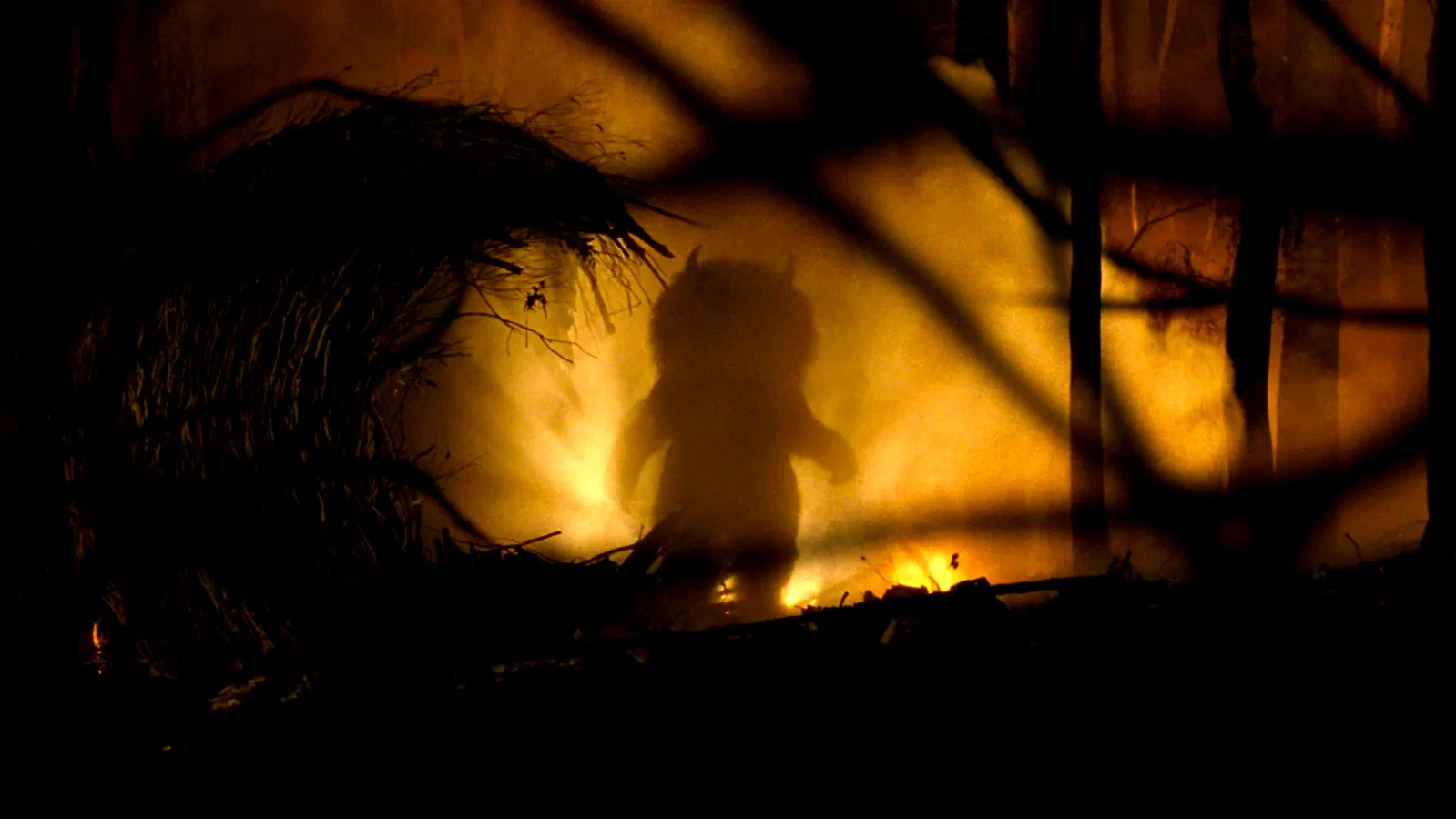 Photo 39 du film : Max et les Maximonstres