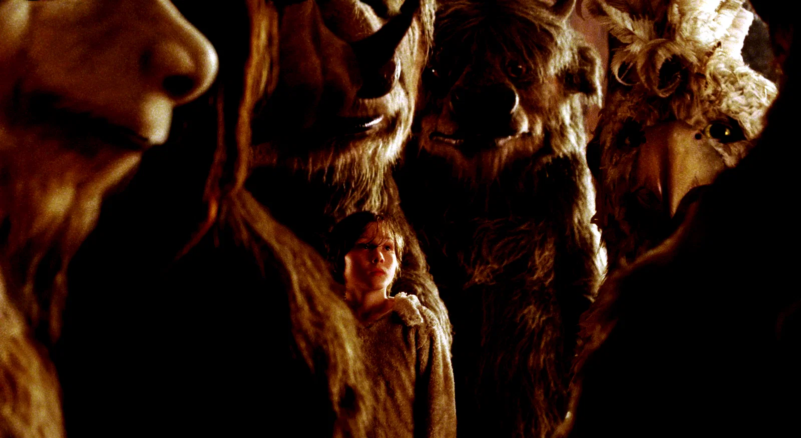 Photo 41 du film : Max et les Maximonstres