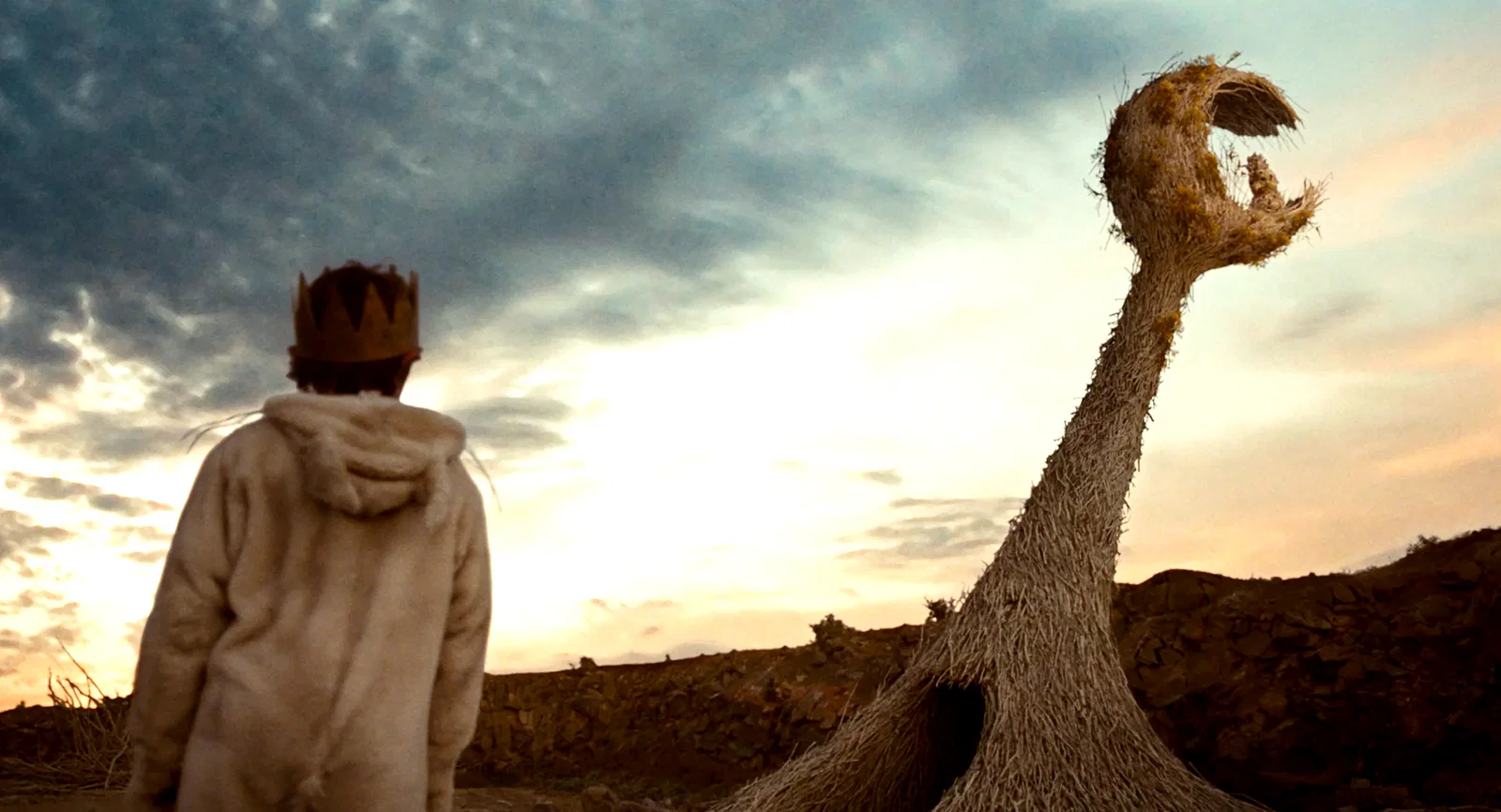 Photo 44 du film : Max et les Maximonstres