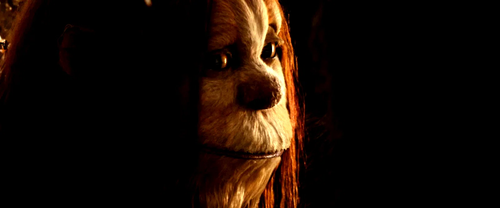 Photo 46 du film : Max et les Maximonstres