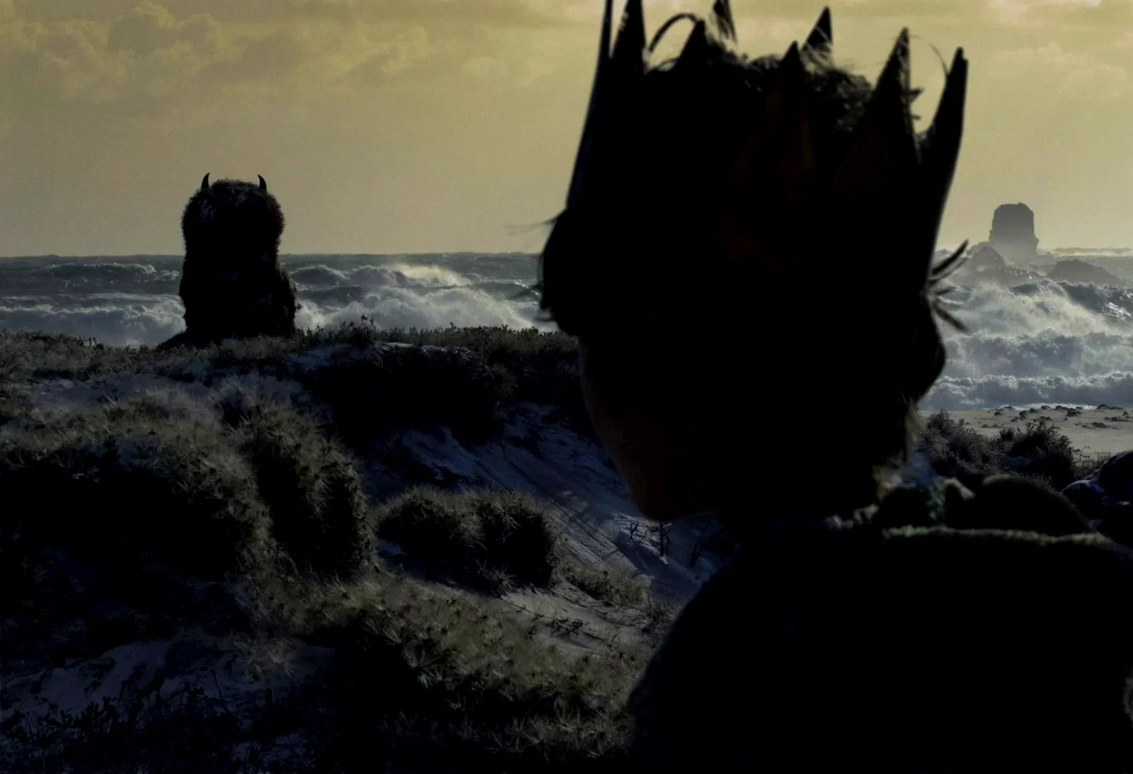 Photo 49 du film : Max et les Maximonstres