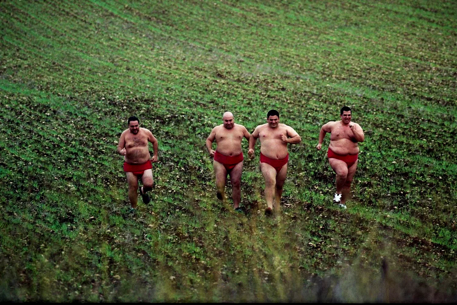 Photo 4 du film : Sumô