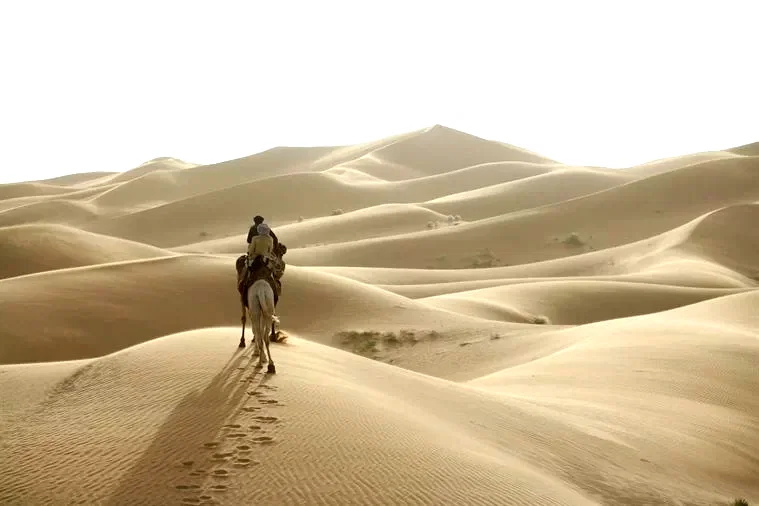 Photo 23 du film : Le Dernier vol