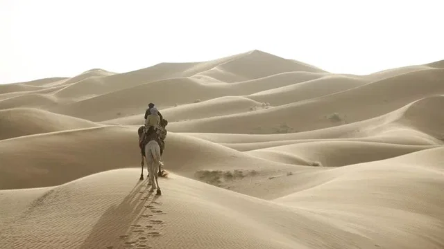Photo du film : Le Dernier vol